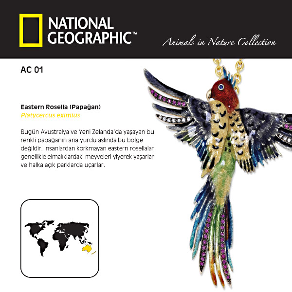 0.62 Karat National Geographic - Animals in Nature - Papağan Broş ve Kolye
